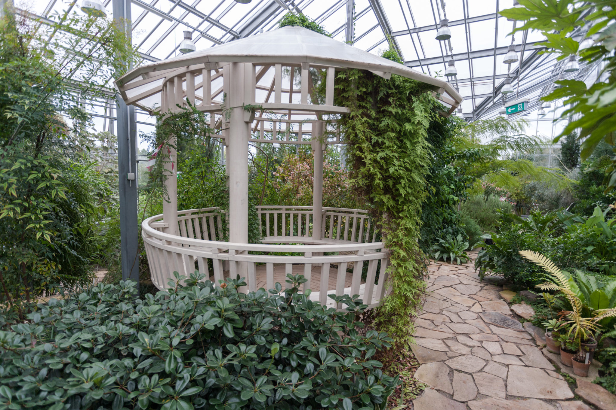 Carisoprodol Meloxicam Precio